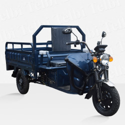 Вантажний трицикл Telbi TGU 1000